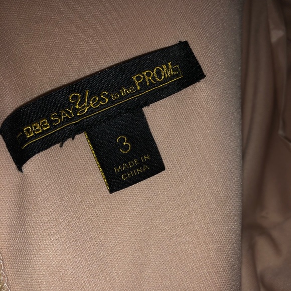 NWT TLC Say yes to the Prom Nude Embroidered Dress - Picture 9 of 9